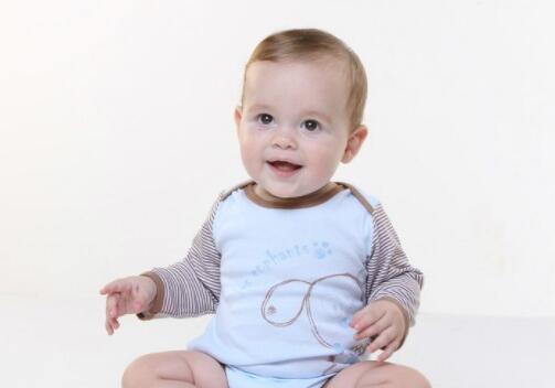 胡姓男孩有出處的名字大全2022